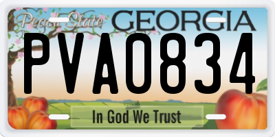 GA license plate PVA0834