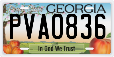 GA license plate PVA0836