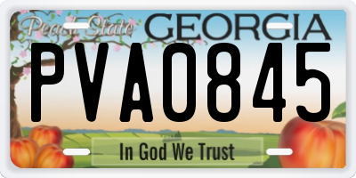 GA license plate PVA0845