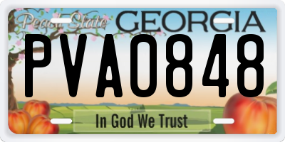 GA license plate PVA0848