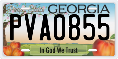 GA license plate PVA0855