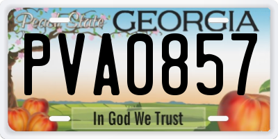 GA license plate PVA0857