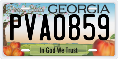 GA license plate PVA0859
