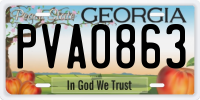GA license plate PVA0863