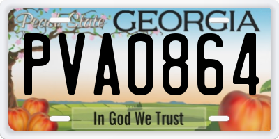 GA license plate PVA0864