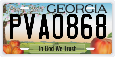 GA license plate PVA0868
