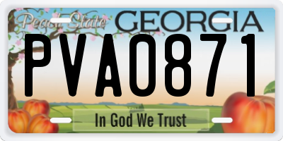 GA license plate PVA0871