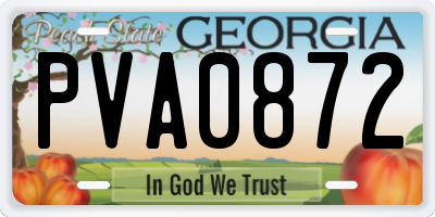 GA license plate PVA0872