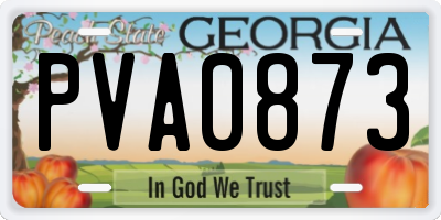 GA license plate PVA0873