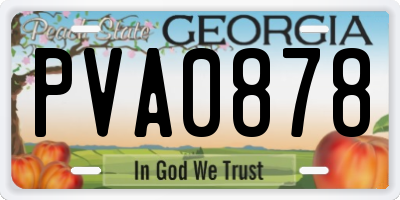 GA license plate PVA0878