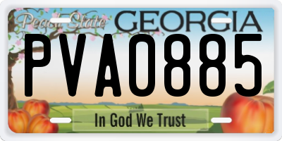 GA license plate PVA0885
