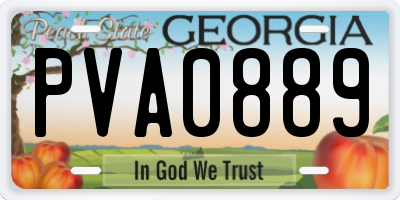 GA license plate PVA0889
