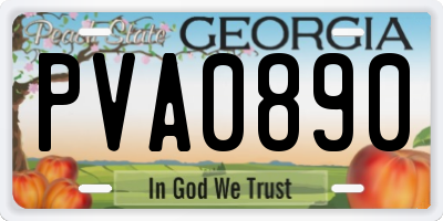 GA license plate PVA0890