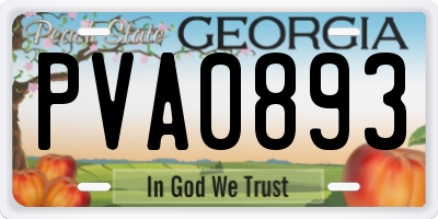GA license plate PVA0893