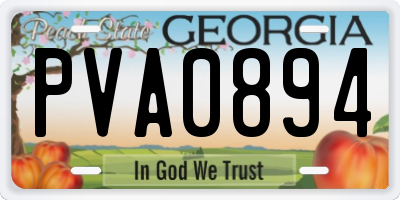 GA license plate PVA0894