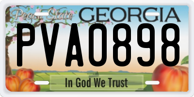 GA license plate PVA0898
