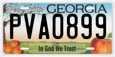 GA license plate PVA0899