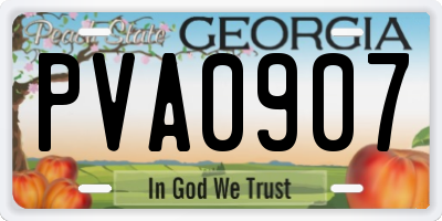 GA license plate PVA0907