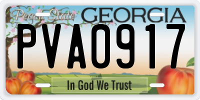 GA license plate PVA0917