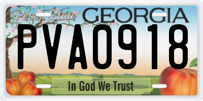 GA license plate PVA0918