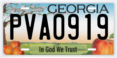 GA license plate PVA0919