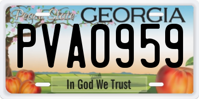 GA license plate PVA0959