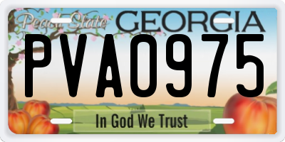GA license plate PVA0975