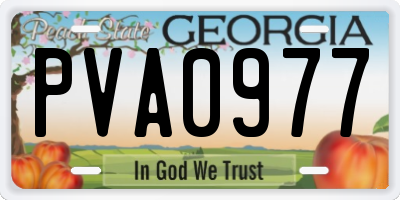 GA license plate PVA0977