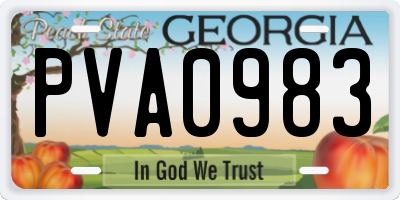GA license plate PVA0983