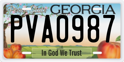 GA license plate PVA0987