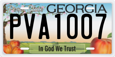GA license plate PVA1007
