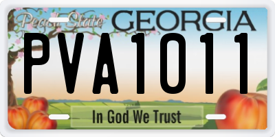 GA license plate PVA1011