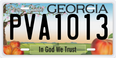 GA license plate PVA1013