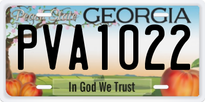 GA license plate PVA1022