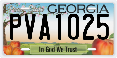 GA license plate PVA1025
