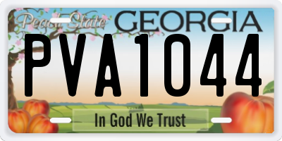 GA license plate PVA1044