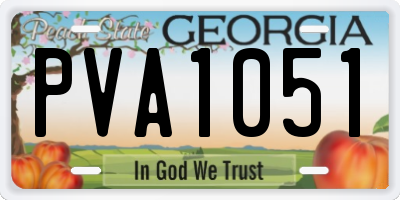 GA license plate PVA1051