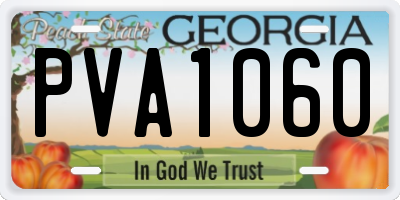 GA license plate PVA1060