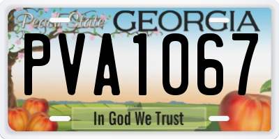 GA license plate PVA1067