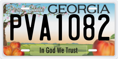 GA license plate PVA1082