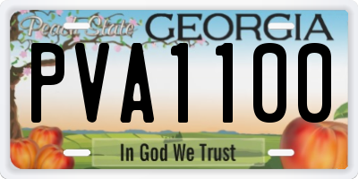 GA license plate PVA1100