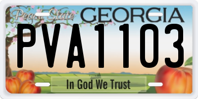 GA license plate PVA1103