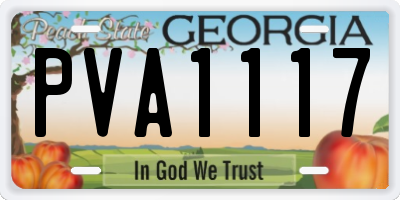 GA license plate PVA1117