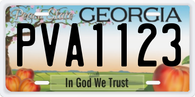 GA license plate PVA1123