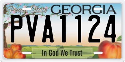 GA license plate PVA1124