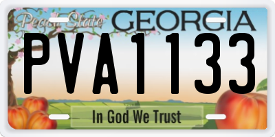 GA license plate PVA1133