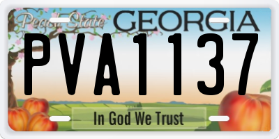 GA license plate PVA1137