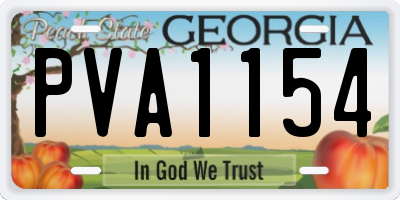 GA license plate PVA1154