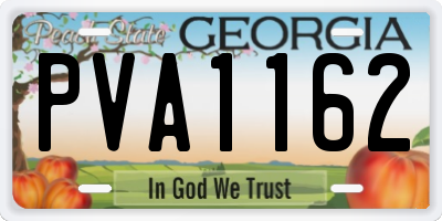 GA license plate PVA1162