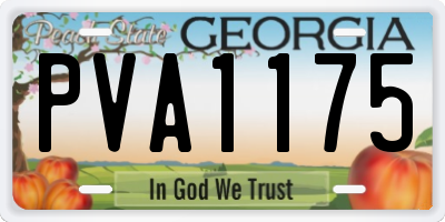 GA license plate PVA1175
